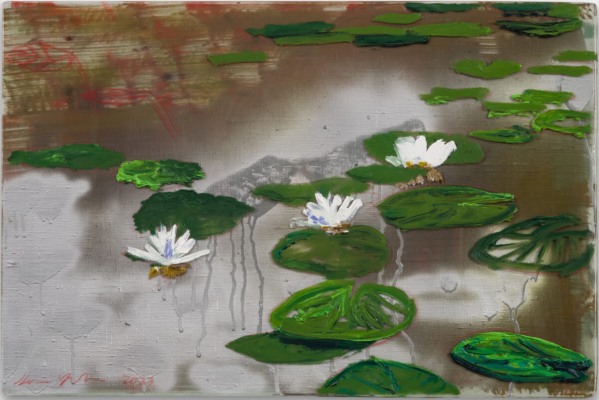 Surface Lilies on Silver Pond