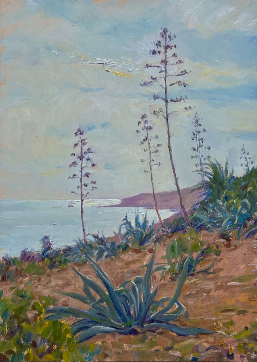 Agave Blossoms, Luz