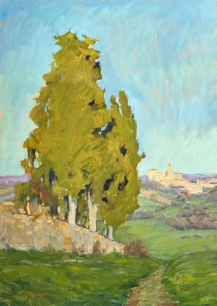 Old Cypresses by Chapelle Saint Marie