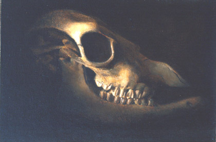 Skull by Anthony Ackrill