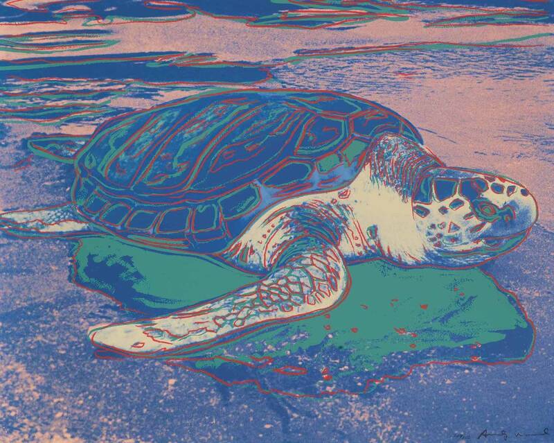 Turtle by 