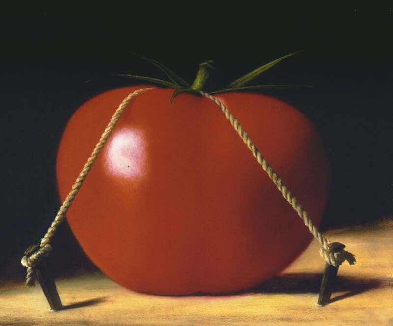 Gullivers Tomato by Anthony Ackrill