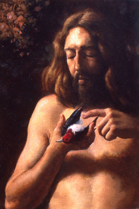 Life by Anthony Ackrill