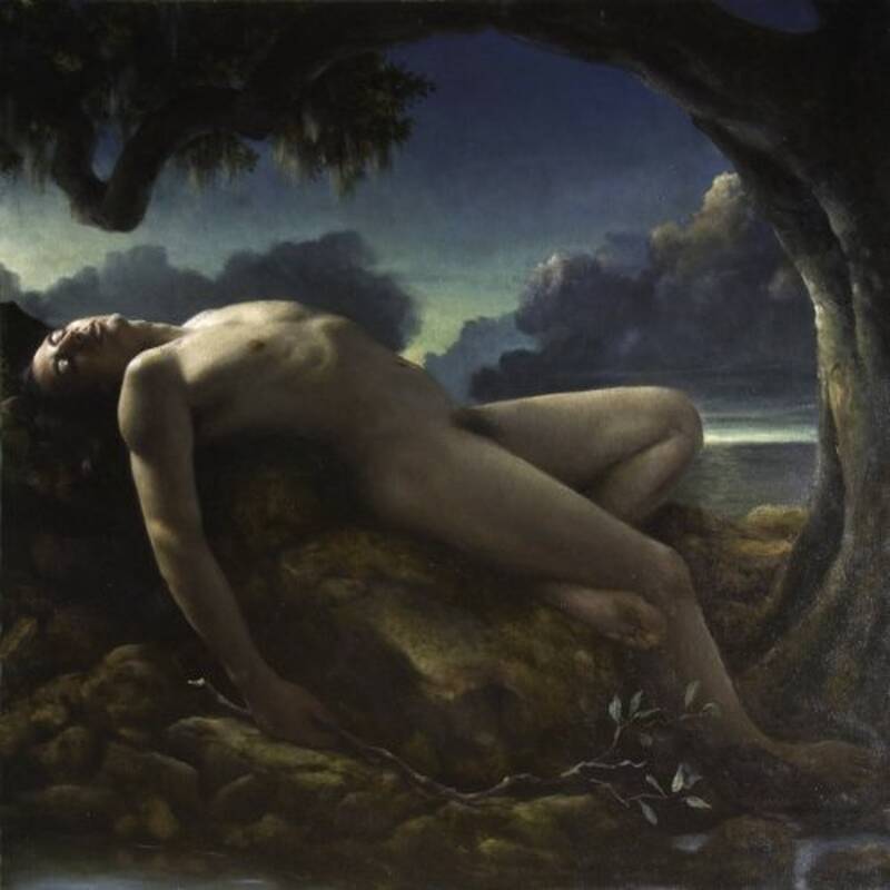 Tree Lover by Anthony Ackrill