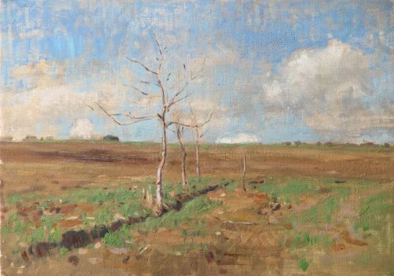 New Vineyard by Ben Fenske