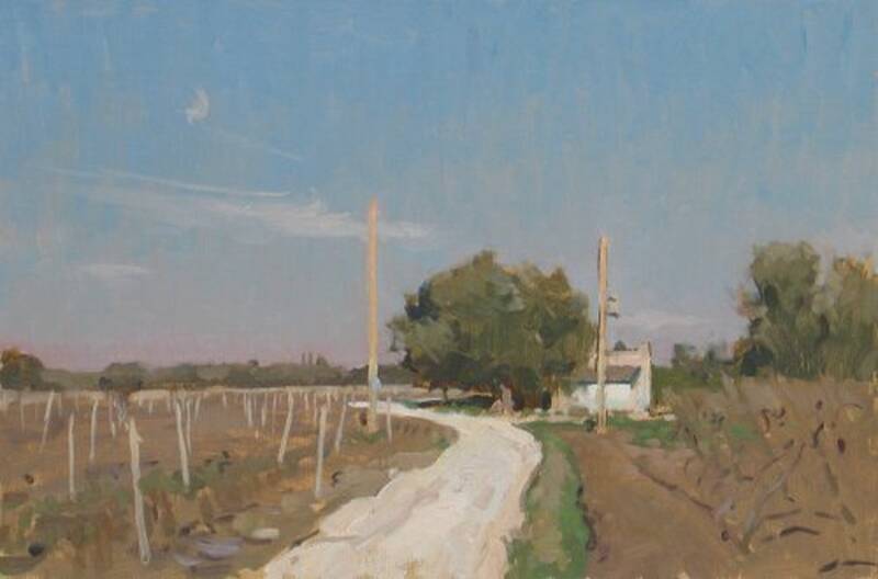 Vineyard Puglia by Ben Fenske