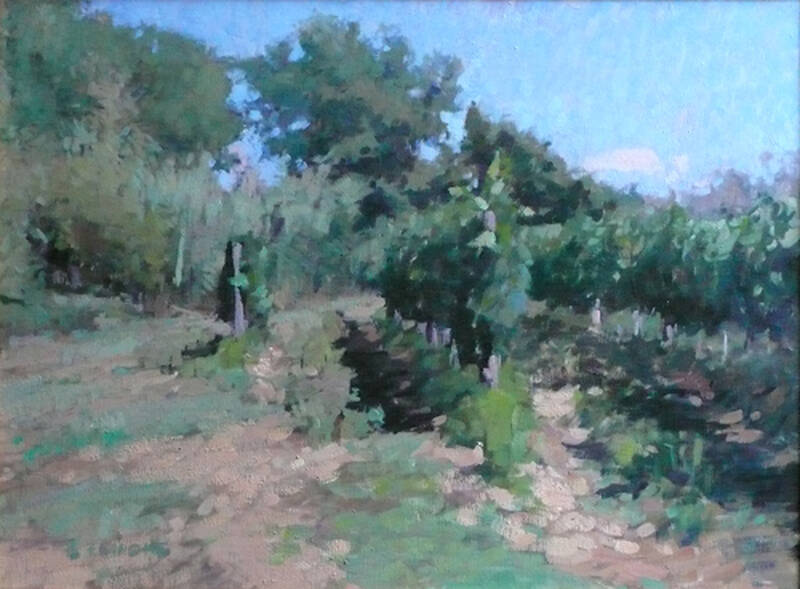 Vineyard by Ben Fenske