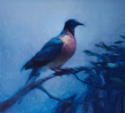 Carrier Pigeon  by Stephen Bauman