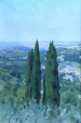 Cypress at Marcia... by Marc Dalessio