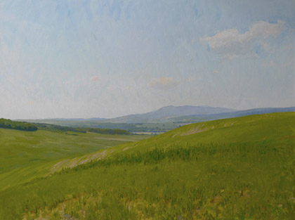 Montalcino Fields by Marc Dalessio