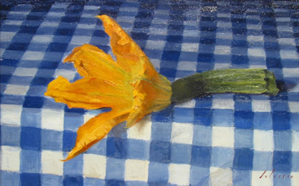 Zucchini Flower by Marc Dalessio