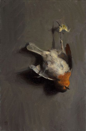 Robin by Marc Dalessio