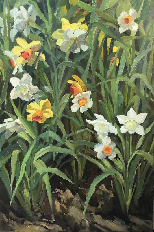 Daffodil Dream by Edwina Lucas