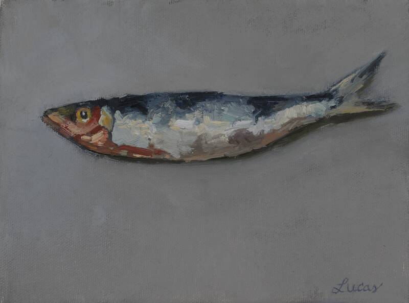 Single Sardine by Edwina Lucas