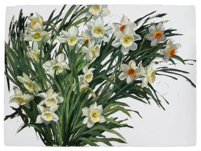Spring Awakening by Edwina Lucas
