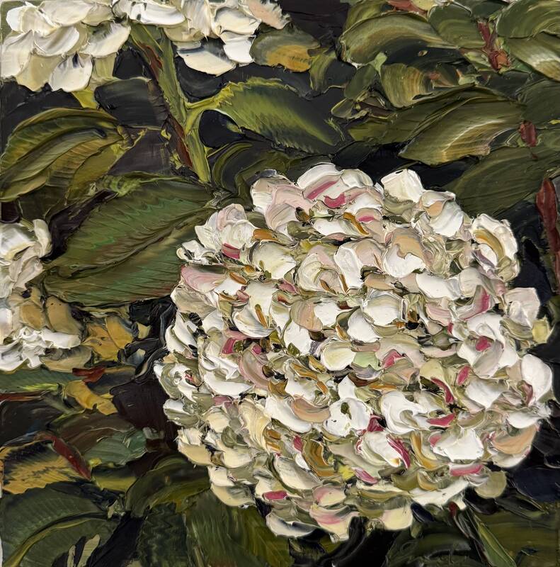 Intimate Hydrange... by Emily Persson