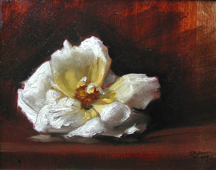 White Rose by 