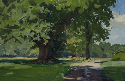 Ireland by Marc Dalessio