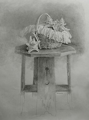 Conches in Basket by Michael Kotasek