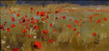 Little Poppies by Ramiro Sanchez