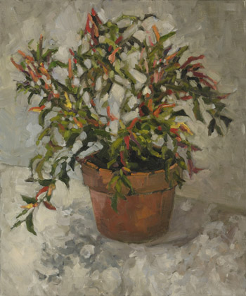 Pepper Plant by Edwina Lucas