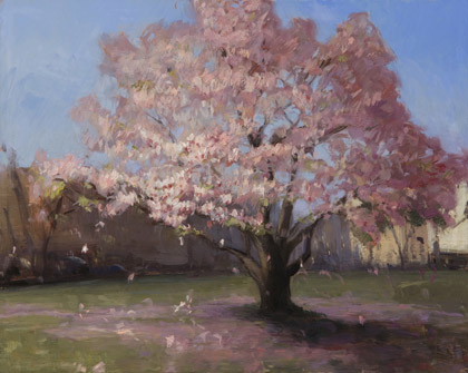 Magnolia by Melissa Franklin Sanchez