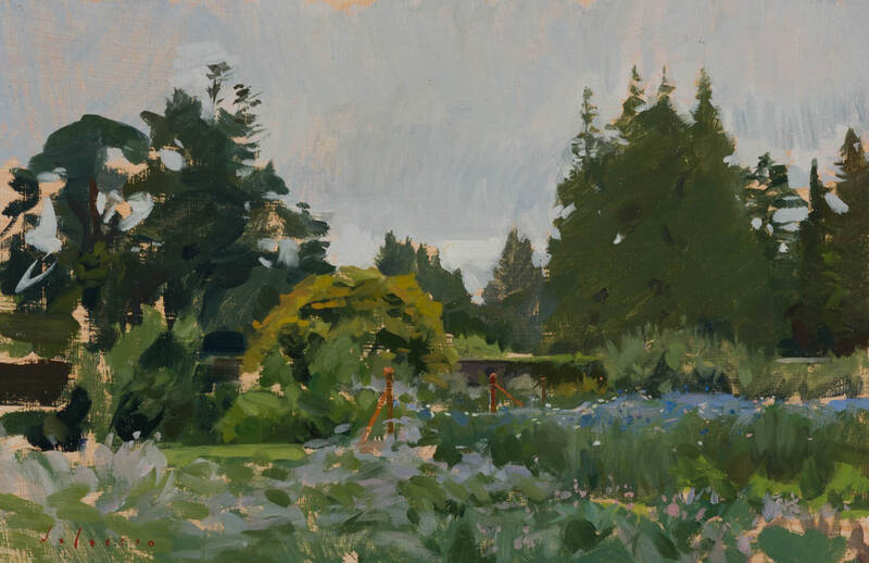 Garden in Ireland by Marc Dalessio