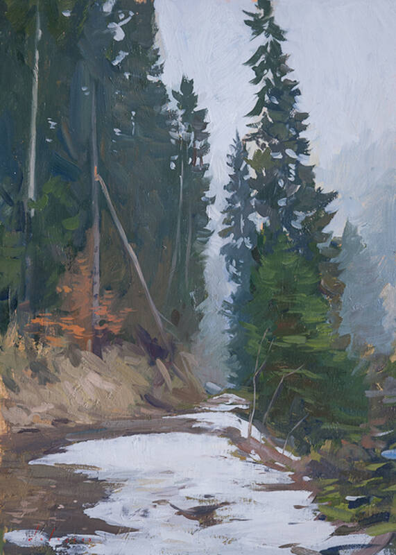 Path in the Woods... by Marc Dalessio