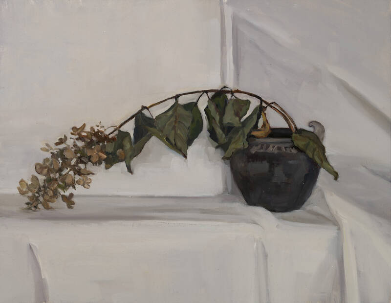 Brittle Beauty by Maryann Lucas