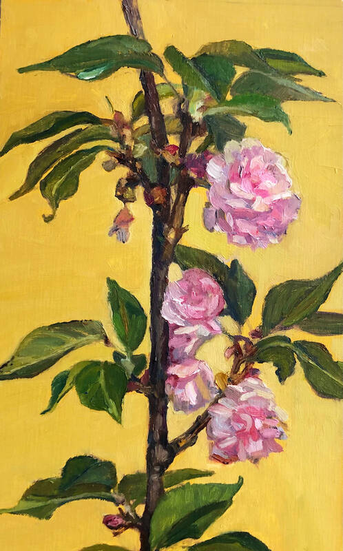 Reveling in Cherr... by Maryann Lucas