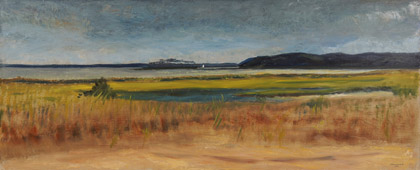 Mashomack Point by Nelson  White