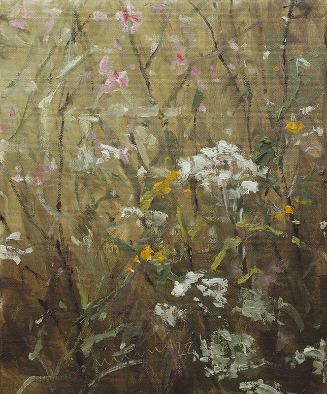 Yarrow I by Mathias Meinel