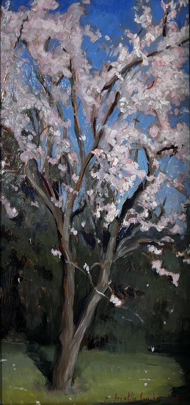 Albero di Mandorl... by Melissa Franklin Sanchez