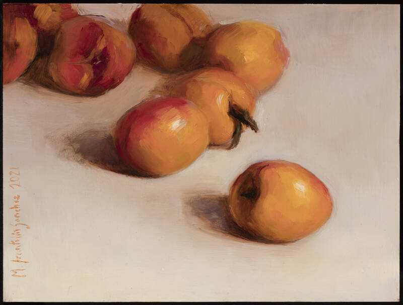 Apricots by Melissa Franklin Sanchez