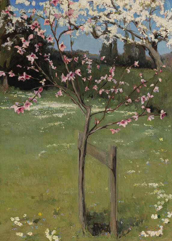 Spring in the Gar... by Melissa Franklin Sanchez