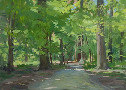 Path in Makisimir by Marc Dalessio