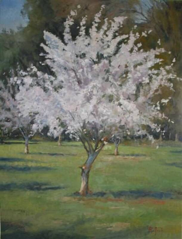 Cherry Blossom by Paul Rafferty