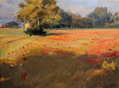Poppies, Evening by Ramiro Sanchez