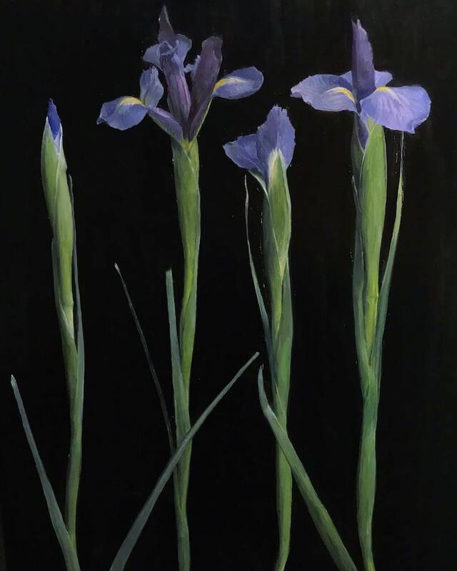 Irises by Rachel Personett