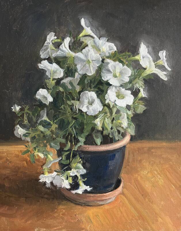 Petunias by Rachel Personett