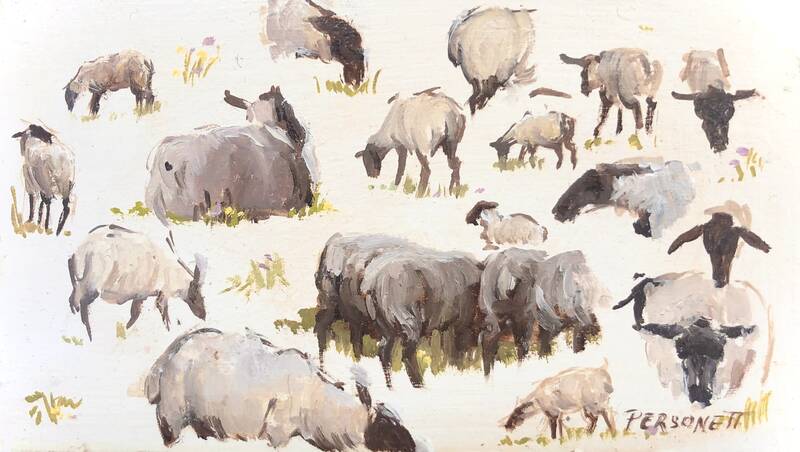 Sheep Studies by Rachel Personett