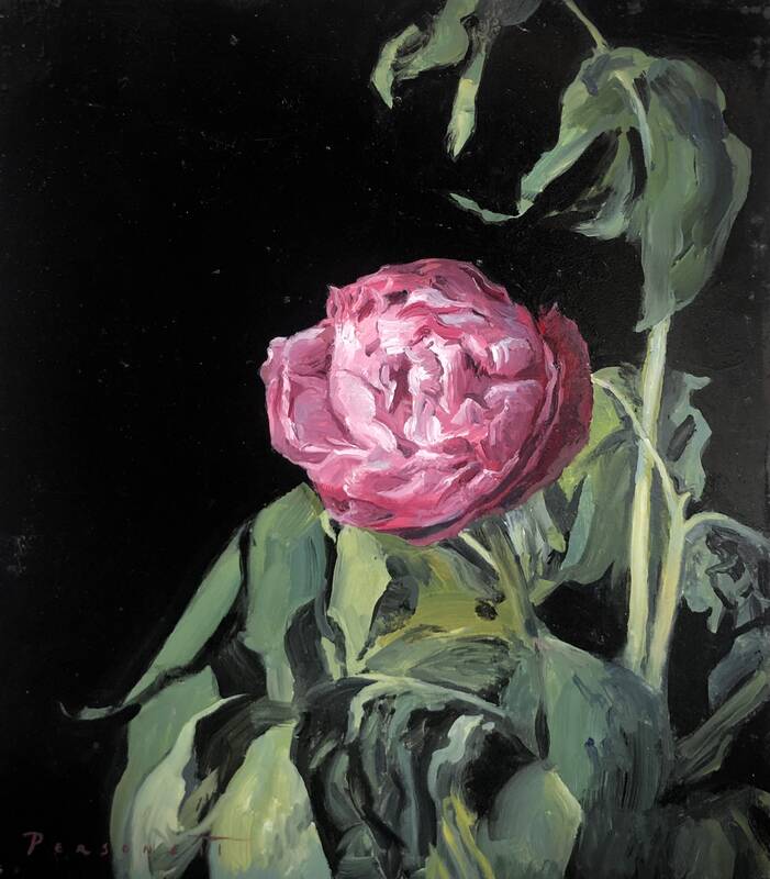 Single Peony by Rachel Personett