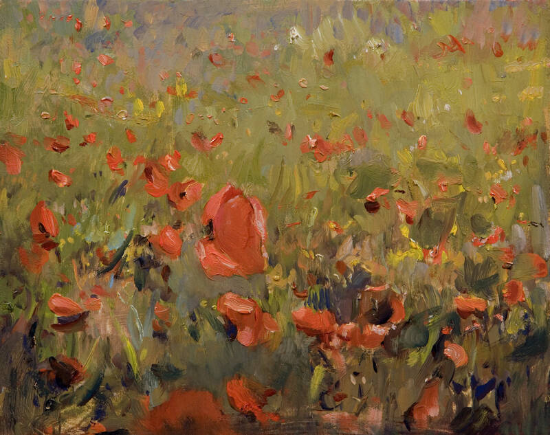 Papaveri by Ramiro Sanchez