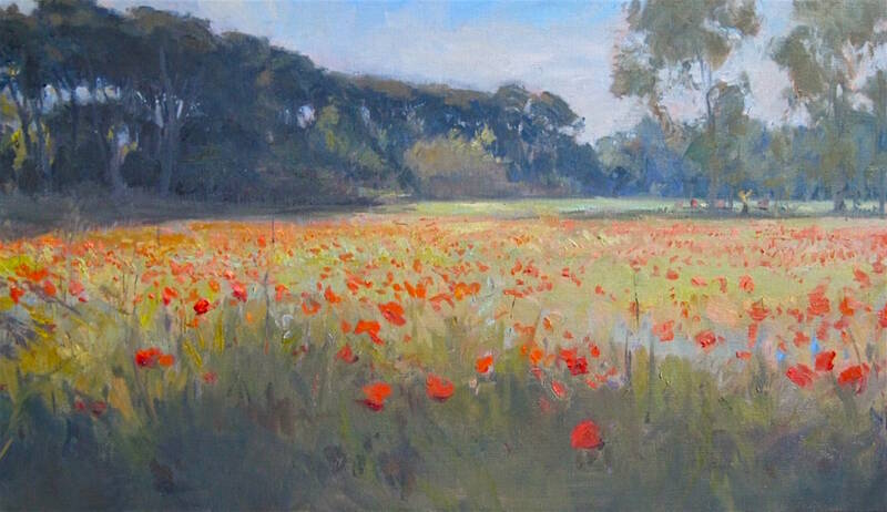 Poppy Field by Ramiro Sanchez