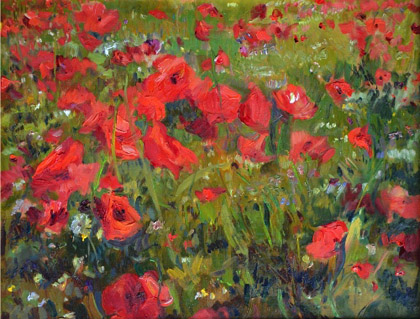 Poppies Close Up by Ramiro Sanchez