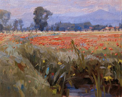 Poppies by Ramiro Sanchez