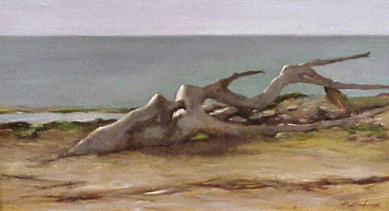 Driftwood at Mont... by Sarah Lamb