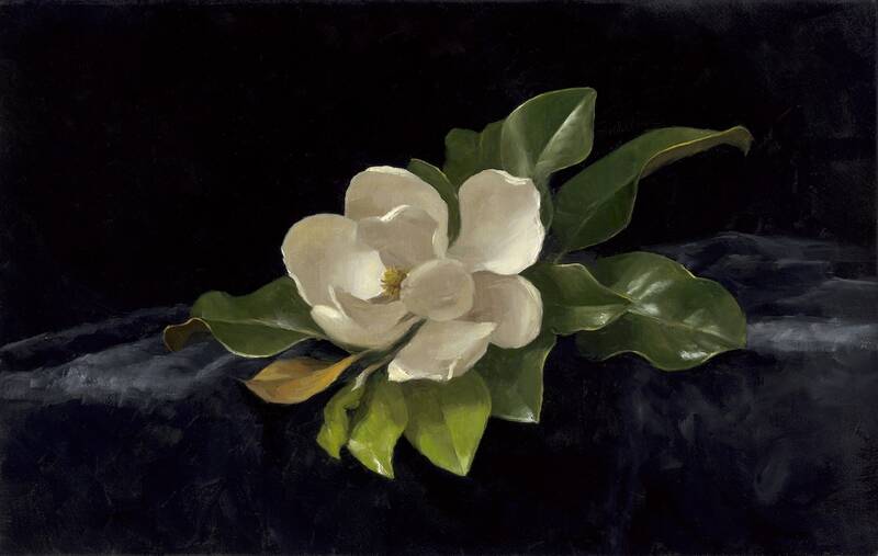 Magnolia by Sarah Lamb