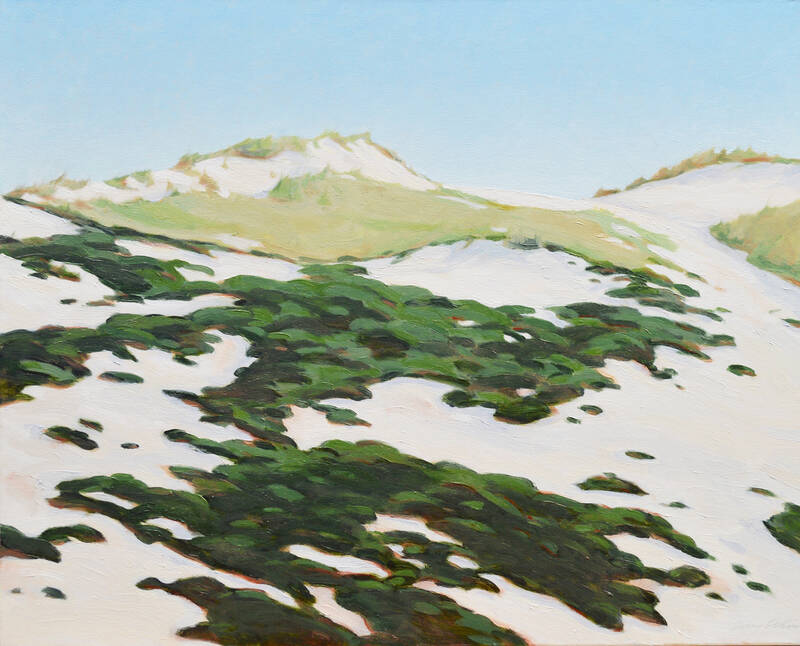 Dunes in Napeague by Terry Elkins