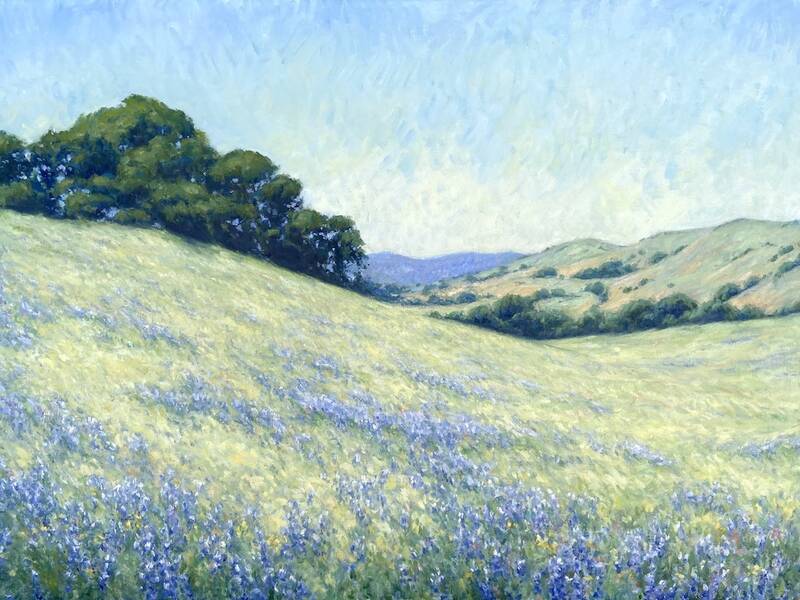 Lupine Fields, To... by Tina Orsolic Dalessio